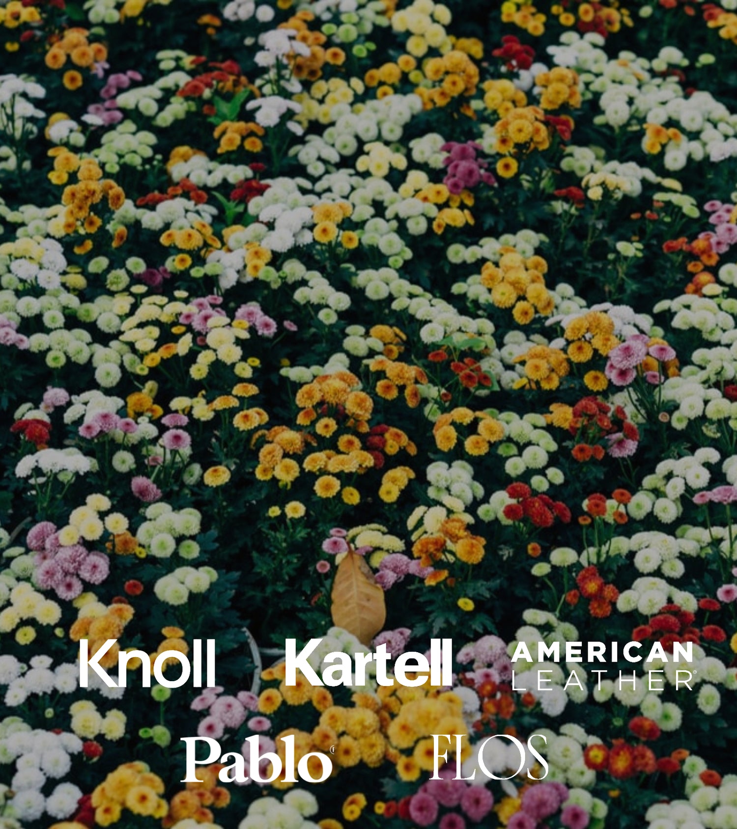 March 2023 Spring Sales