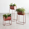 Modello Planters (Set of 3)